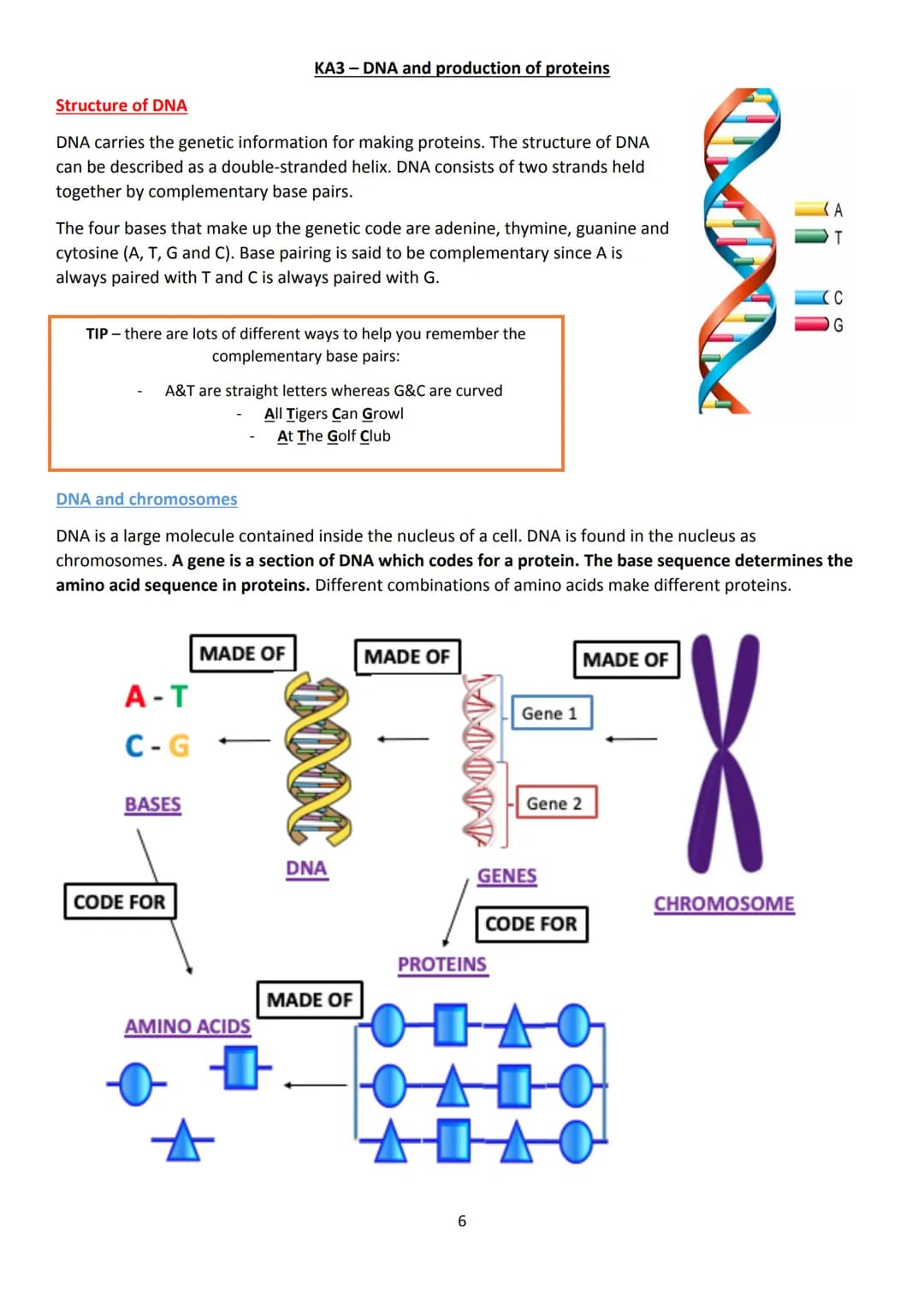 LAS
optimum
sequi
National 5 Biology
Unit 1 - Cell Biology
Summary Notes
1 KA1 - Cell Structure
All living things are made from cells. There