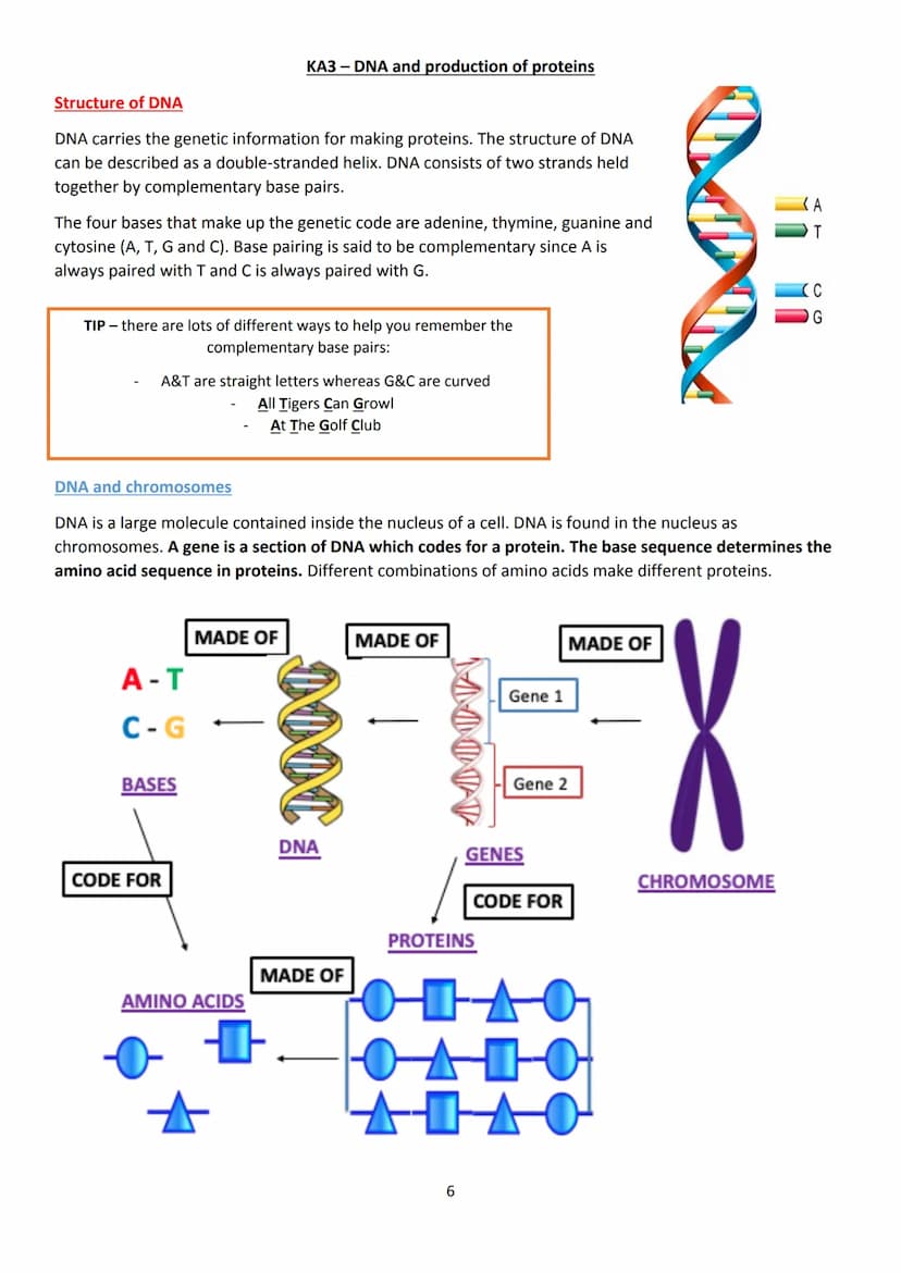 LAS
optimum
sequi
National 5 Biology
Unit 1 - Cell Biology
Summary Notes
1 KA1 - Cell Structure
All living things are made from cells. There