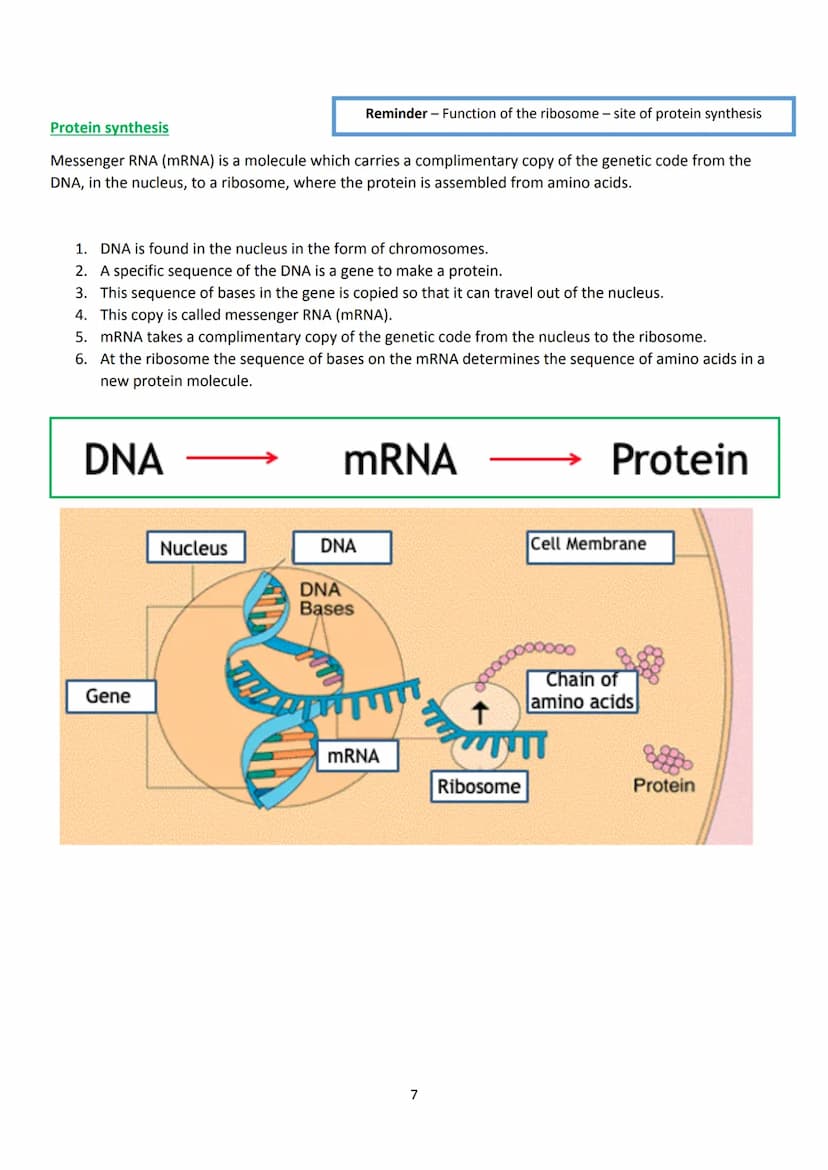 LAS
optimum
sequi
National 5 Biology
Unit 1 - Cell Biology
Summary Notes
1 KA1 - Cell Structure
All living things are made from cells. There