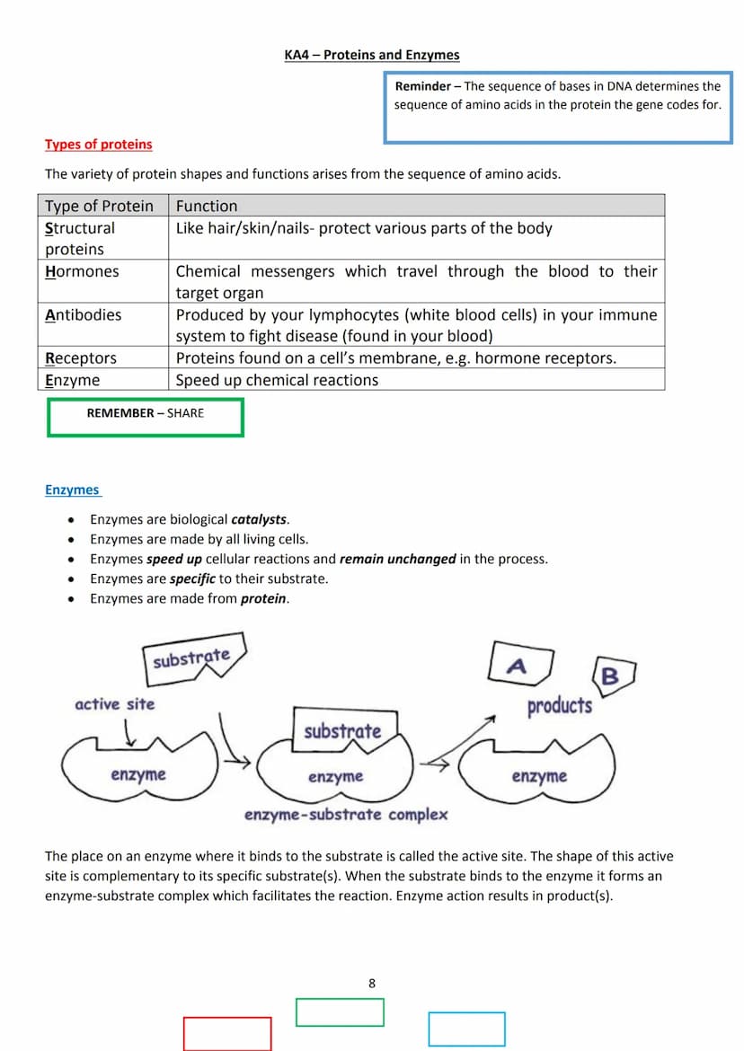LAS
optimum
sequi
National 5 Biology
Unit 1 - Cell Biology
Summary Notes
1 KA1 - Cell Structure
All living things are made from cells. There