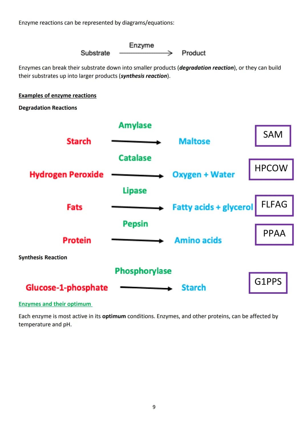 LAS
optimum
sequi
National 5 Biology
Unit 1 - Cell Biology
Summary Notes
1 KA1 - Cell Structure
All living things are made from cells. There