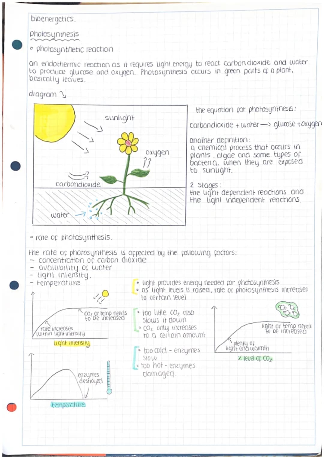 bioenergetics.
Photosynthesis
photosynthetic reaction
an endothermic reaction as it requires light energy to react carbon dioxide and water
