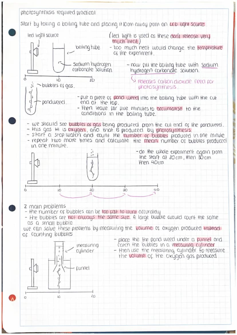 bioenergetics.
Photosynthesis
photosynthetic reaction
an endothermic reaction as it requires light energy to react carbon dioxide and water
