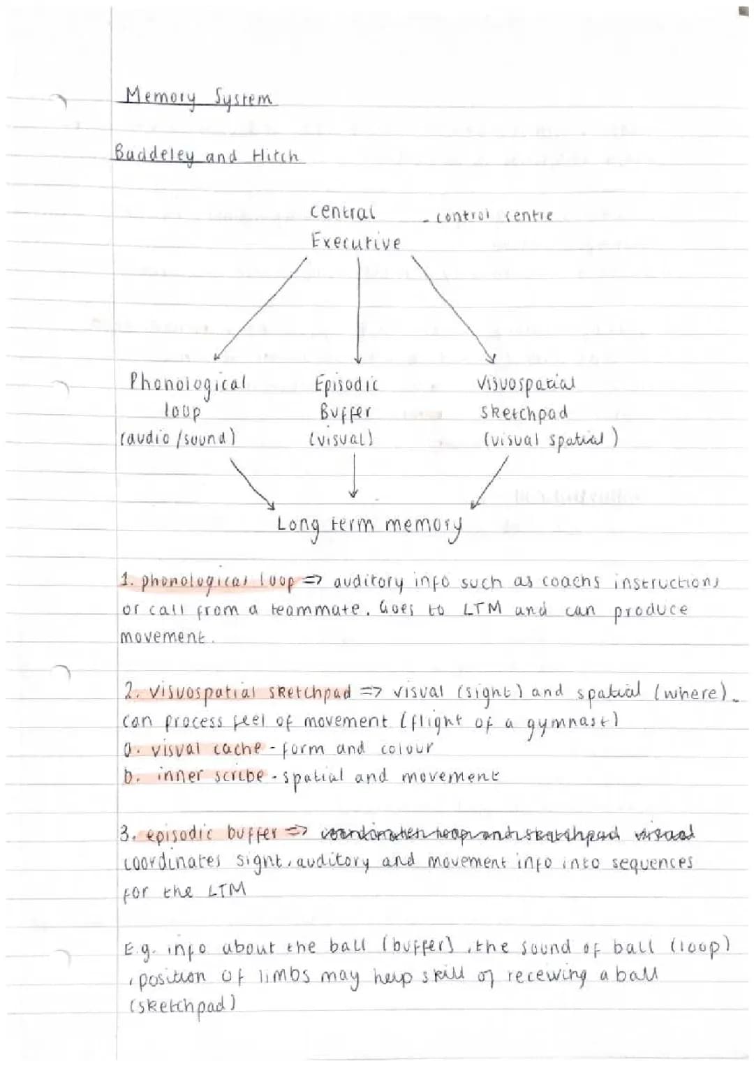 Fun Ways to Boost Your Memory with Baddeley's Model and Schema Theory!