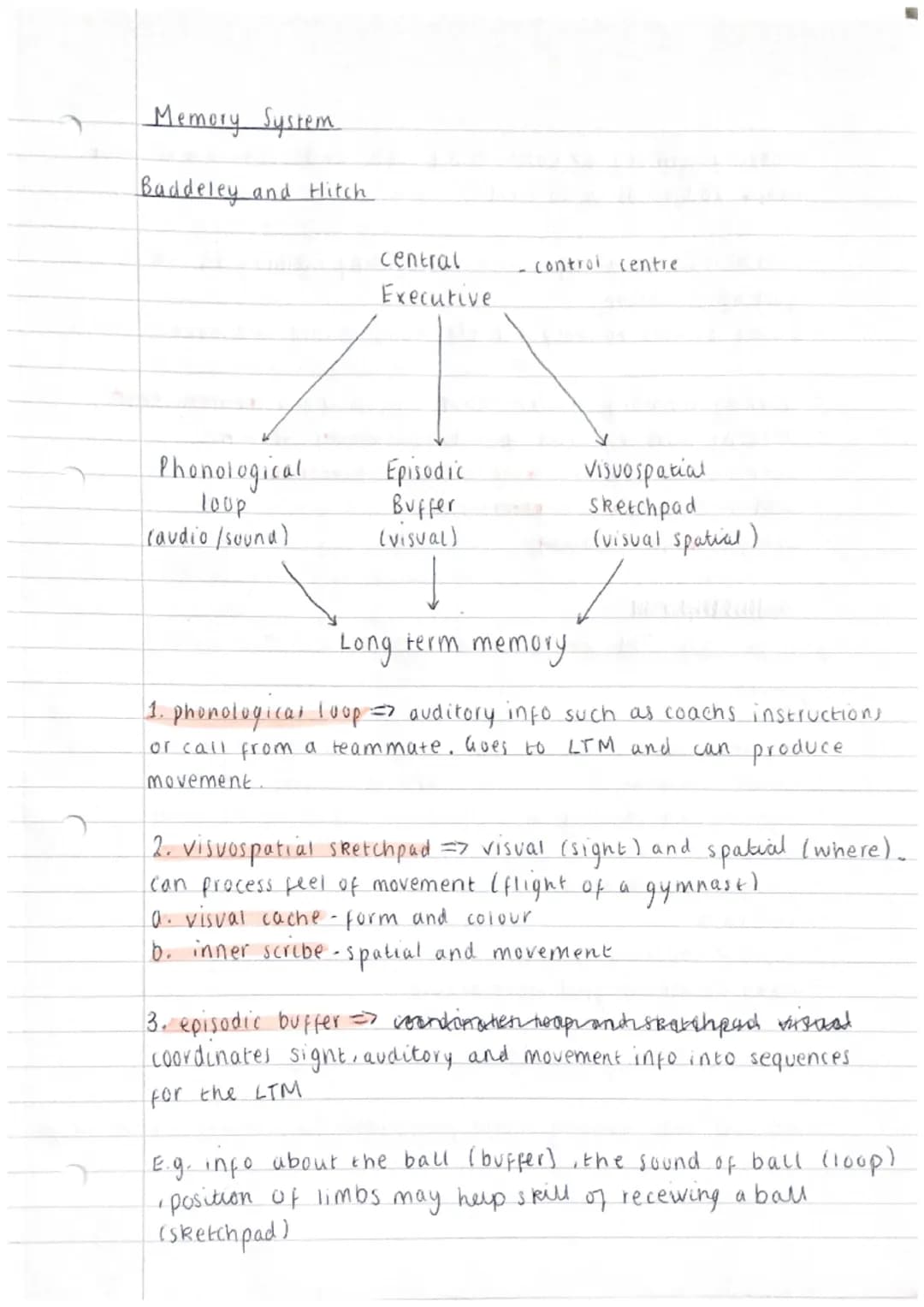 Memory System
Baddeley and Hitch
Phonological
loop
(audio /sound)
central
Executive
Episodic
Buffer
(visual)
control centre
Visuospatial
ske