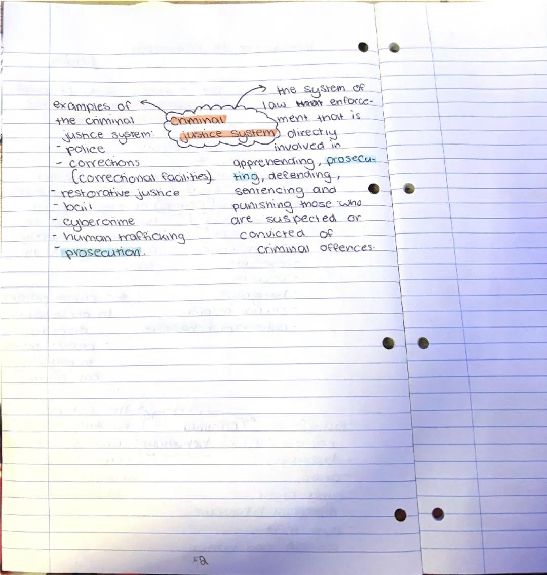 Introduction to criminology-
6/11/24
Criminology: The scientific study of crime,
criminal behaviour and the
criminal justice system.
example