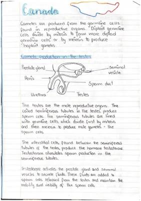 Know Unit two; Physiology and health pt.1 thumbnail