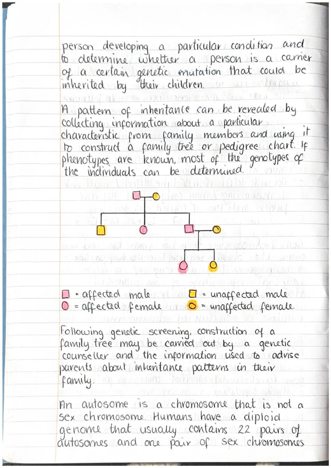 Canada
Gametes are produced from the germline cells/
found in reproductive organs. Diploid germline
cells divide by mitosis to form more dip