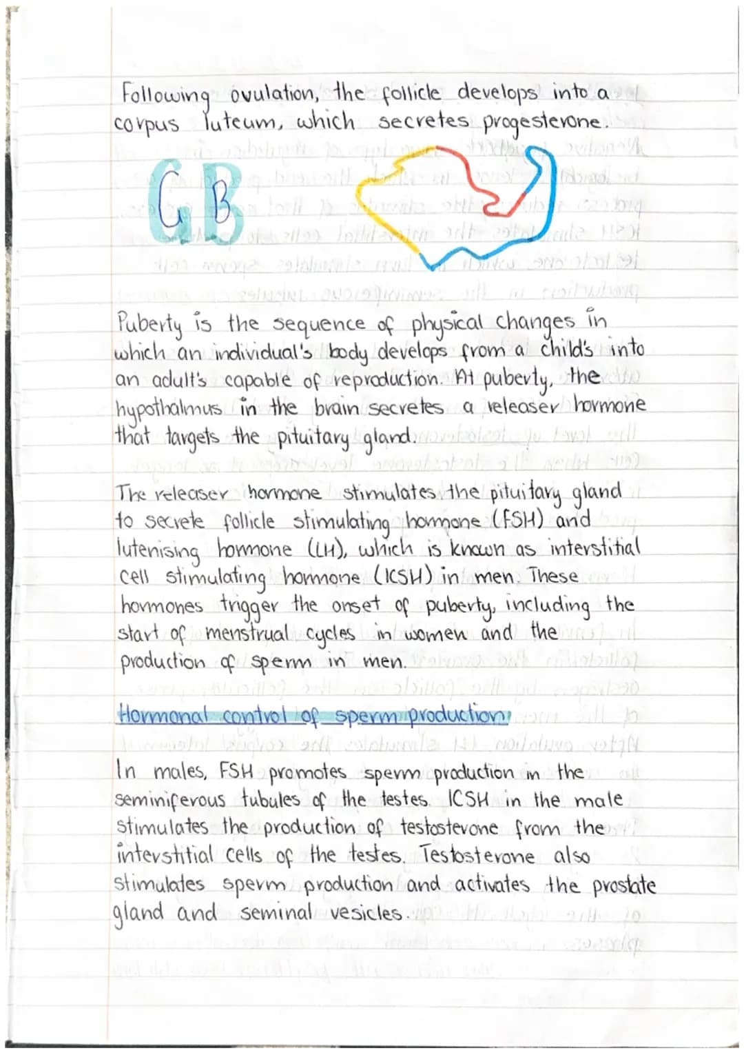 Canada
Gametes are produced from the germline cells/
found in reproductive organs. Diploid germline
cells divide by mitosis to form more dip