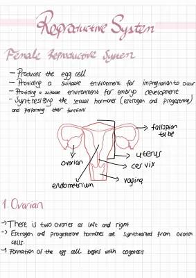 Know Biology Reproductive System Notes thumbnail