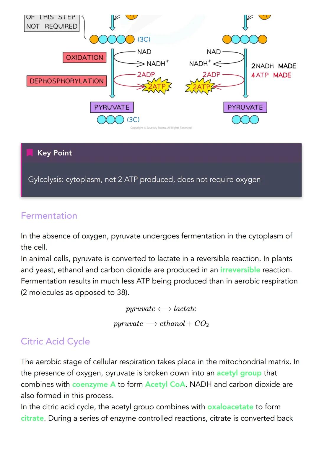 2.2 Cellular Respiration
Definitions
Cellular respiration is a series of enzyme controlled reactions in which a
respiration substrate such a