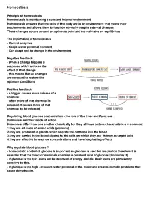 Know AQA Biology topic 3.6.4 - Homeostasis is the maintenance of a stable internal environment thumbnail