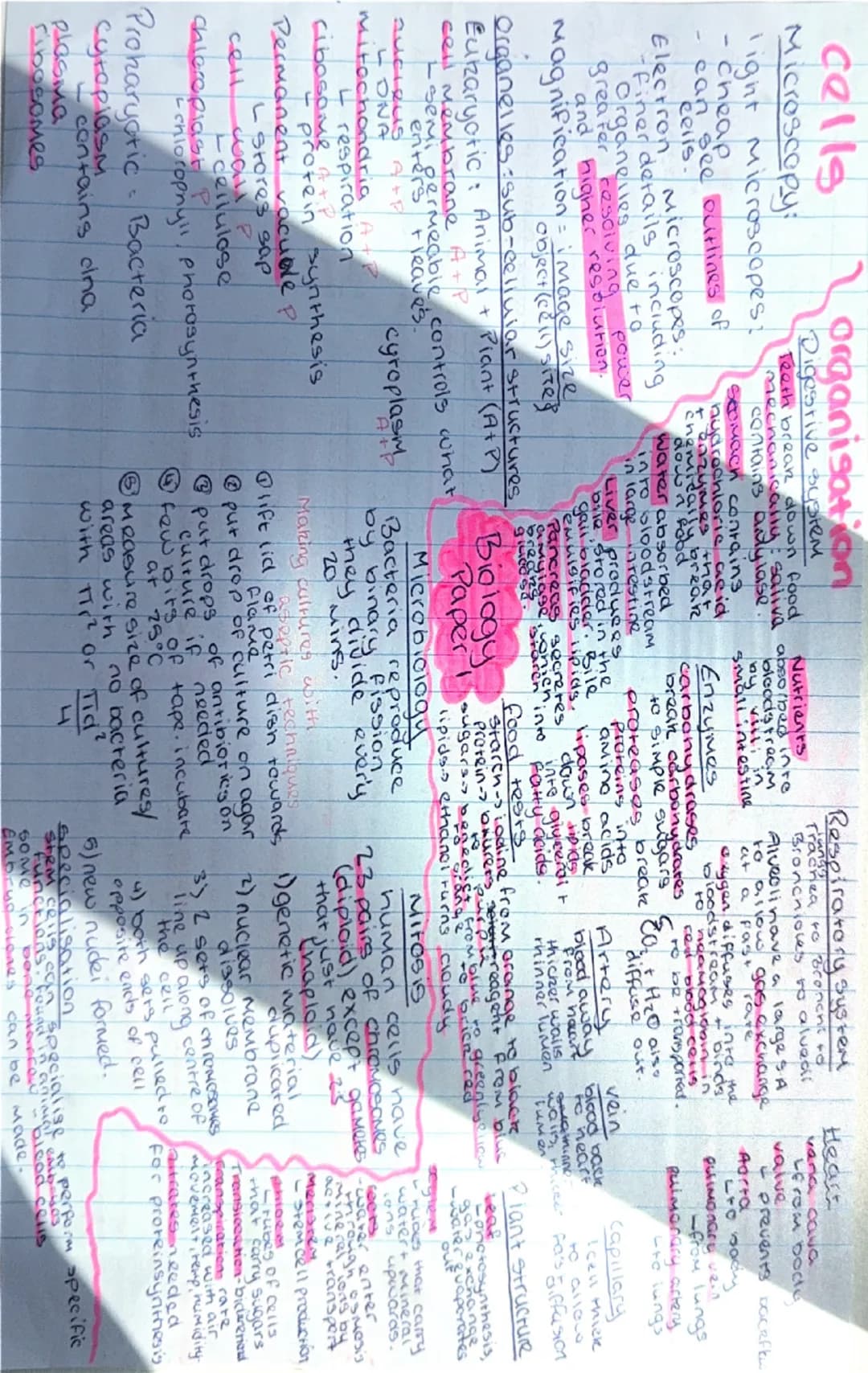 Biology paper 1 mind map summary