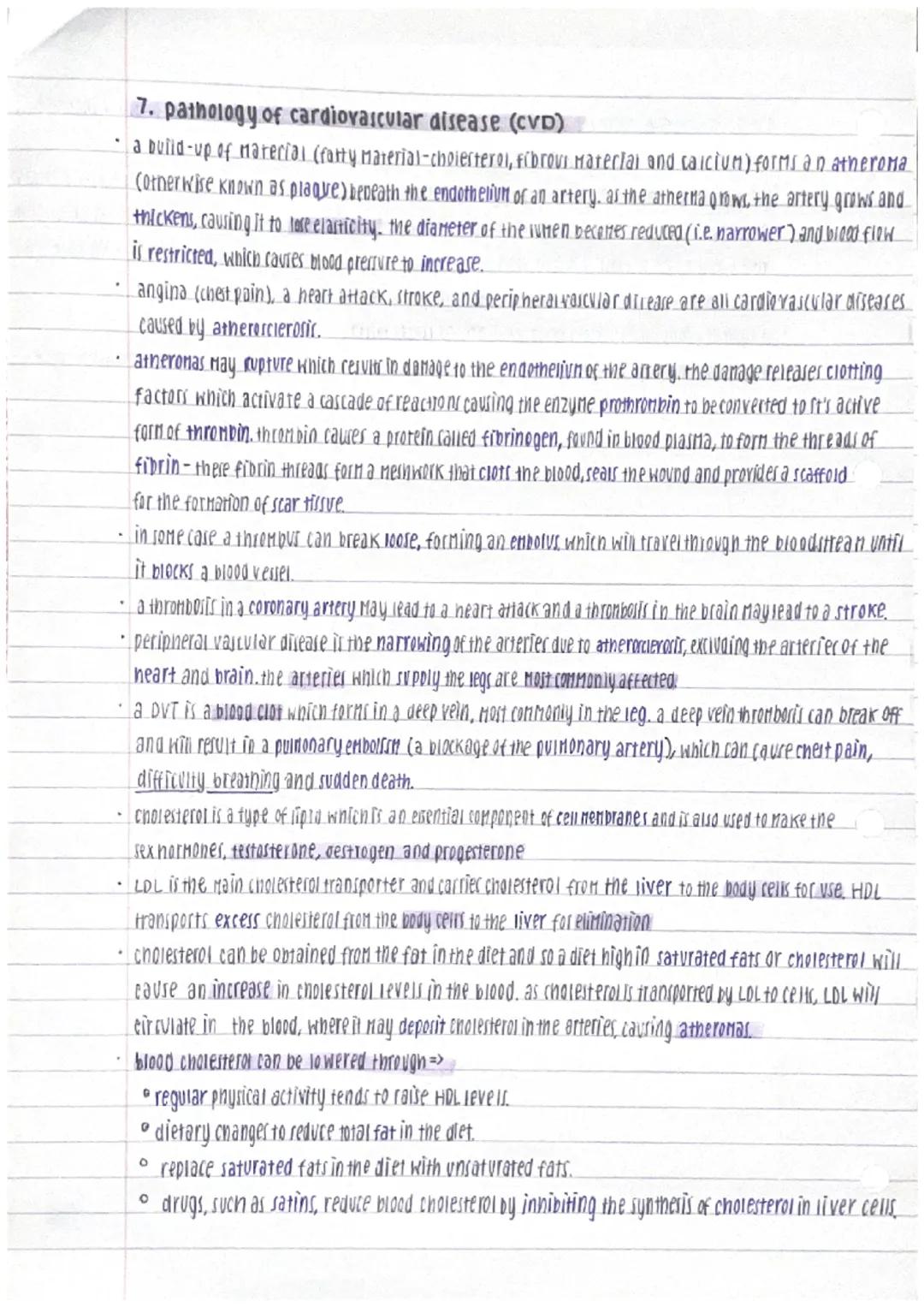 unit 2- physiology - neath

1. ganete production and fertilisation.
- gametes are naploid cells produced from diploid germline cells.
- sper