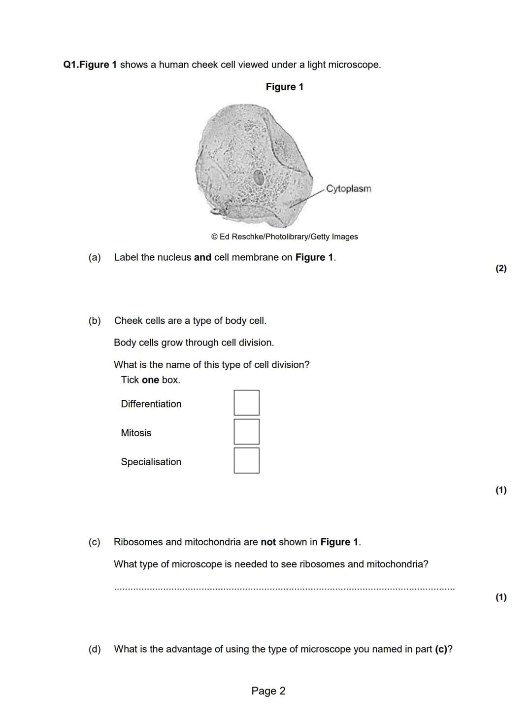 Q1.Figure 1 shows a human cheek cell viewed under a light microscope.
Figure 1
Ed Reschke/Photolibrary/Getty Images
(a) Label the nucleus an