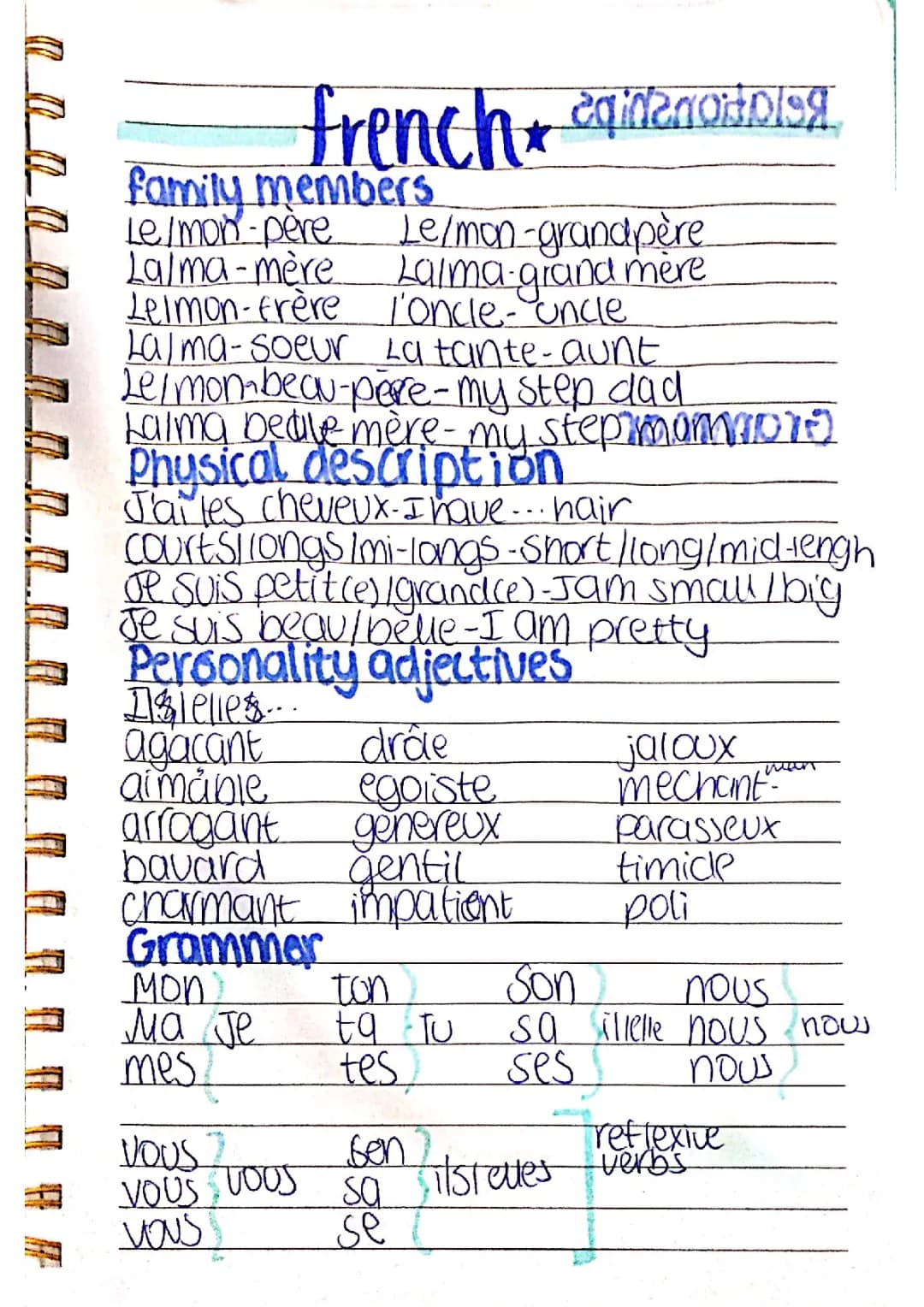 Vocabulaire des membres de la famille en français Y9 - PDF gratuit