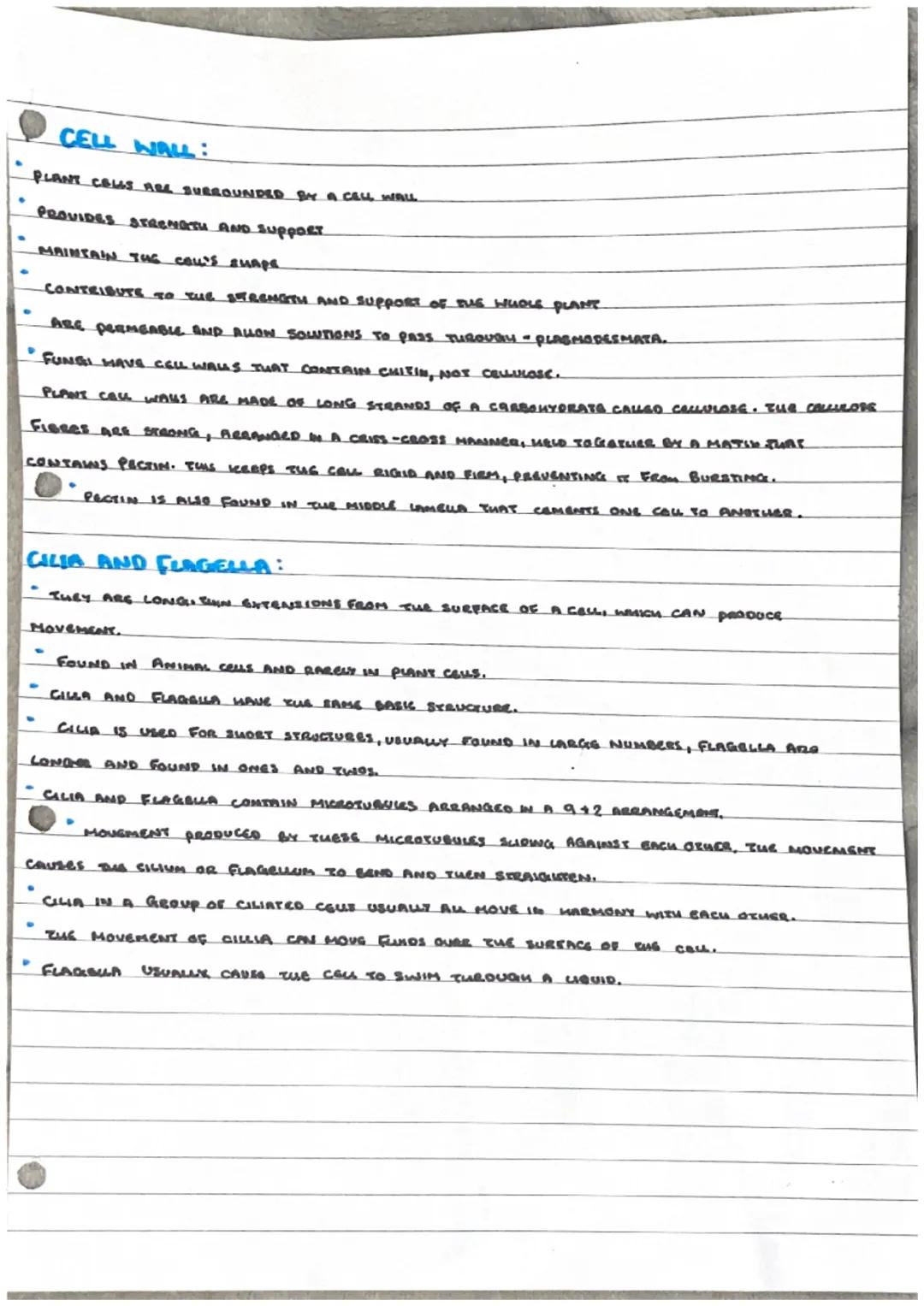 (a)
MITOCHONDRION)
MITOCHONDRIA
NUCLEOLUS
NUCLEUS
NUCLEUS
RIBOSOMES
SMOOTU
ENDOPLASMIC
RETICULUM.
OWE
CELL
ROUGH
ENDOPLASMIC RETICULUA
MEMBR