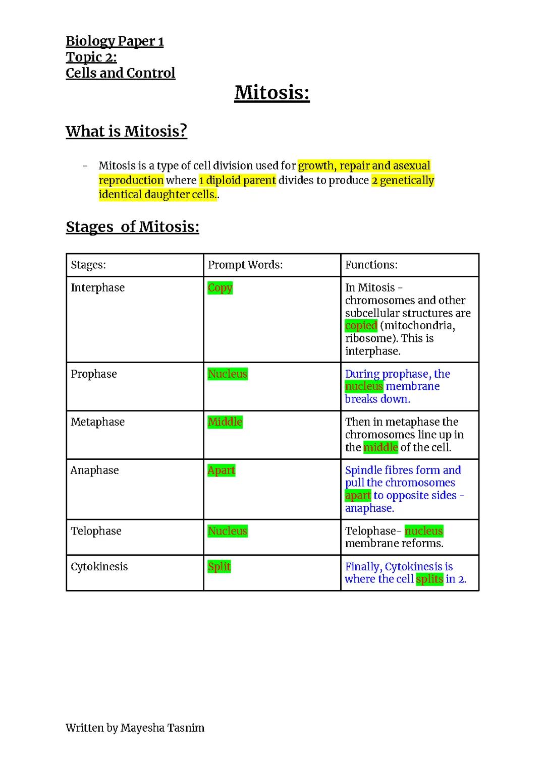 Understanding the 4 Stages of Mitosis: A Kid's Guide with Diagrams