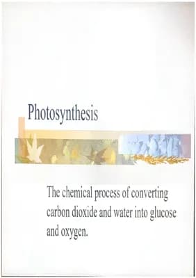 Know photosynthesis, grade 9/10 thumbnail
