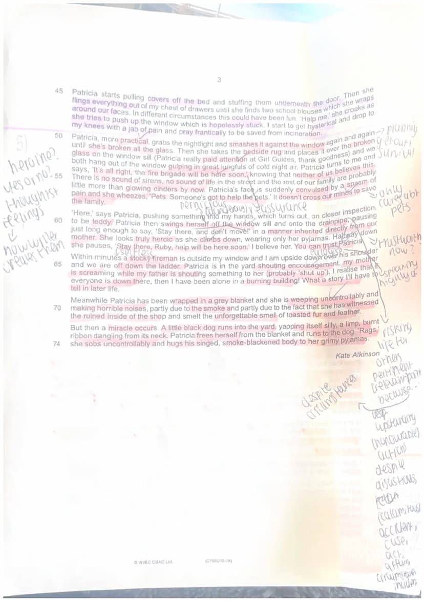 SECTION A: 40 marks
Read carefully the passage in the separate Resource Material. Then answer all the questions
below.
0
0
0
The story in th