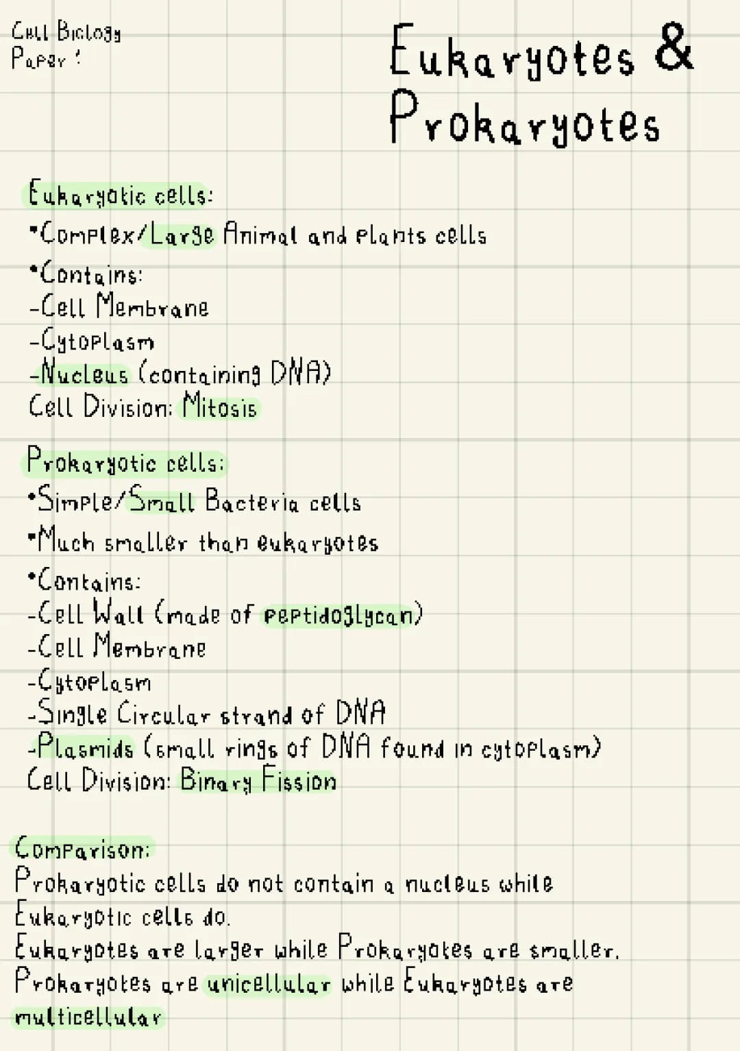 Eukaryotes & Prokaryotes | GCSE BIOLOGY