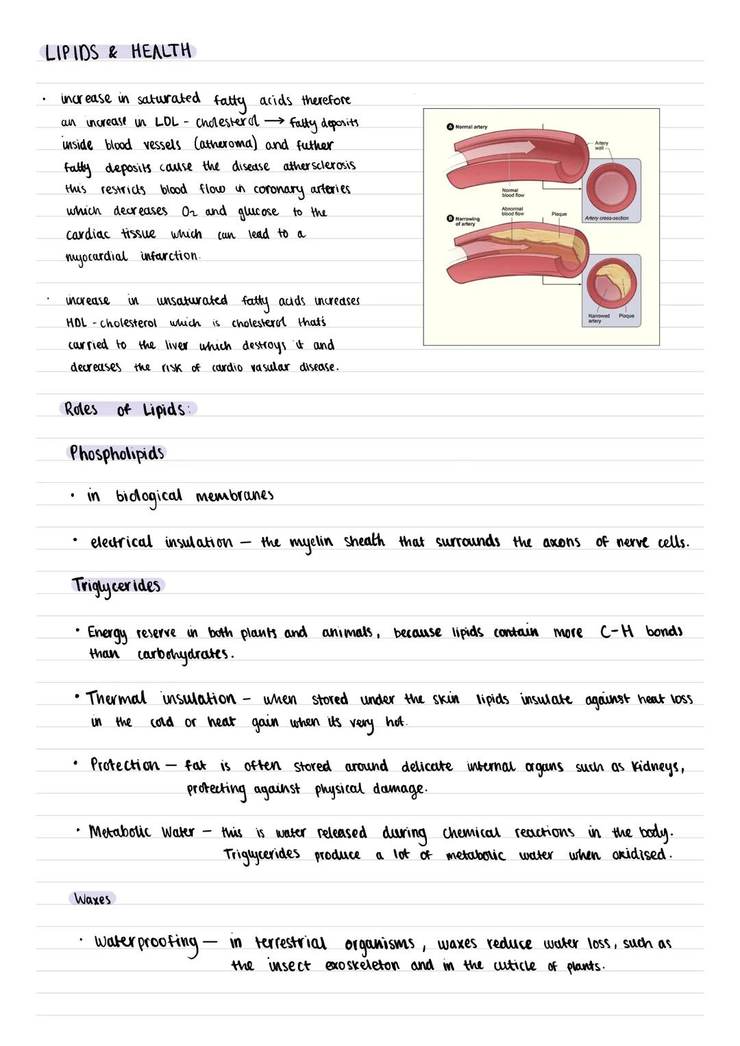 LIPIDS
2
types
1. Glycerol
of organic
chemicals
H
H-C-OH
H-C-OH
H-C-OH
H
Saturated
Fatty Acids
2. Fatty Acids
(saturated
unsatured
no C=C in