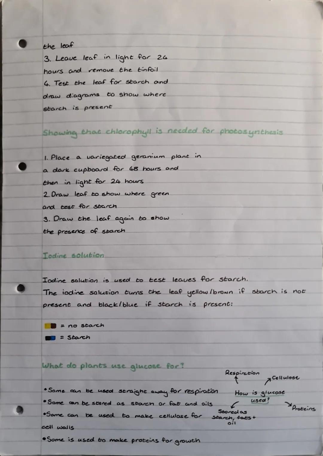 biology
Photosynthesis
This is the process that plants use to make their own food (glucose).
using light from the sun.
Where does it happen?