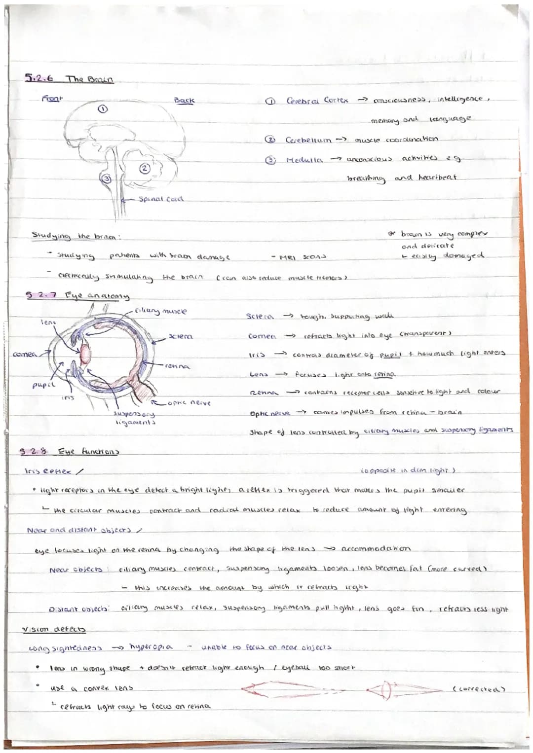 
<h2 id="introductiontohomeostasis">Introduction to Homeostasis</h2>
<p>In biology, the concept of homeostasis refers to the ability of an o