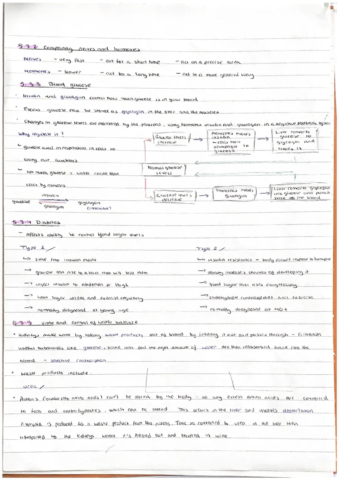 
<h2 id="introductiontohomeostasis">Introduction to Homeostasis</h2>
<p>In biology, the concept of homeostasis refers to the ability of an o