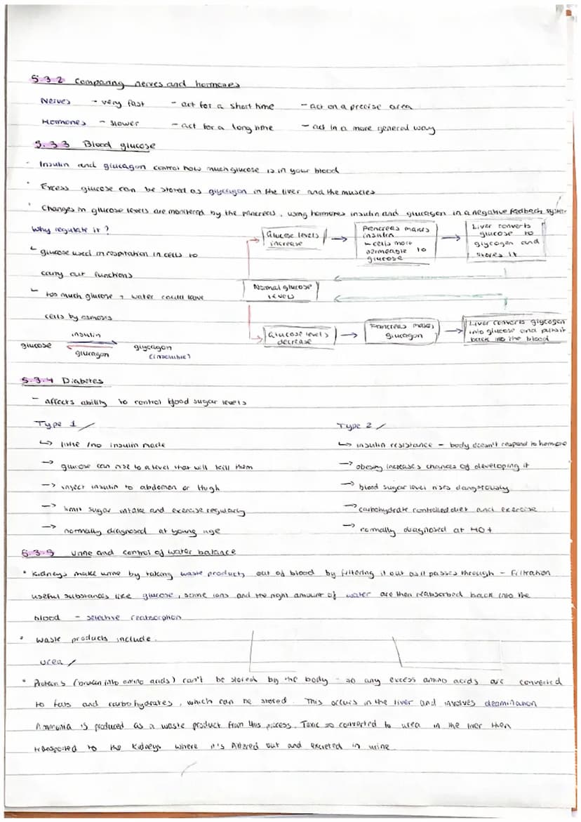 
<h2 id="introductiontohomeostasis">Introduction to Homeostasis</h2>
<p>In biology, the concept of homeostasis refers to the ability of an o