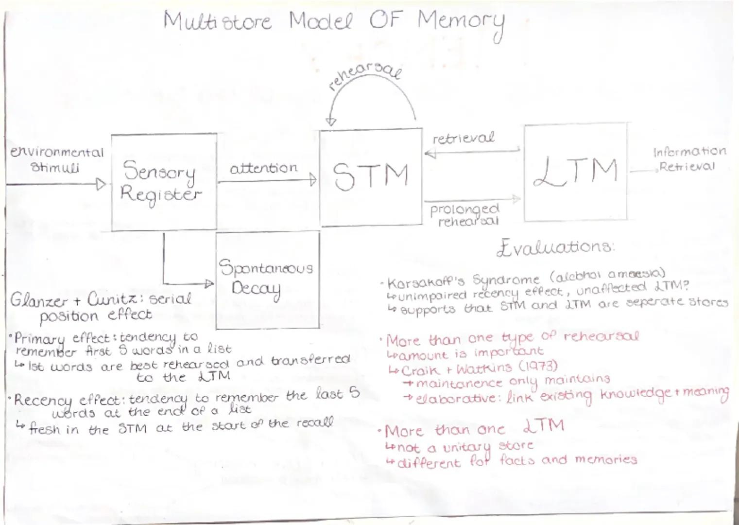 SOCIAL INFLUENCE
CONFORMITY: Yielding to group pressure
Types:
Compliance: Public, not private
↳avoid ridicule/gain approval
↳weak/temporary