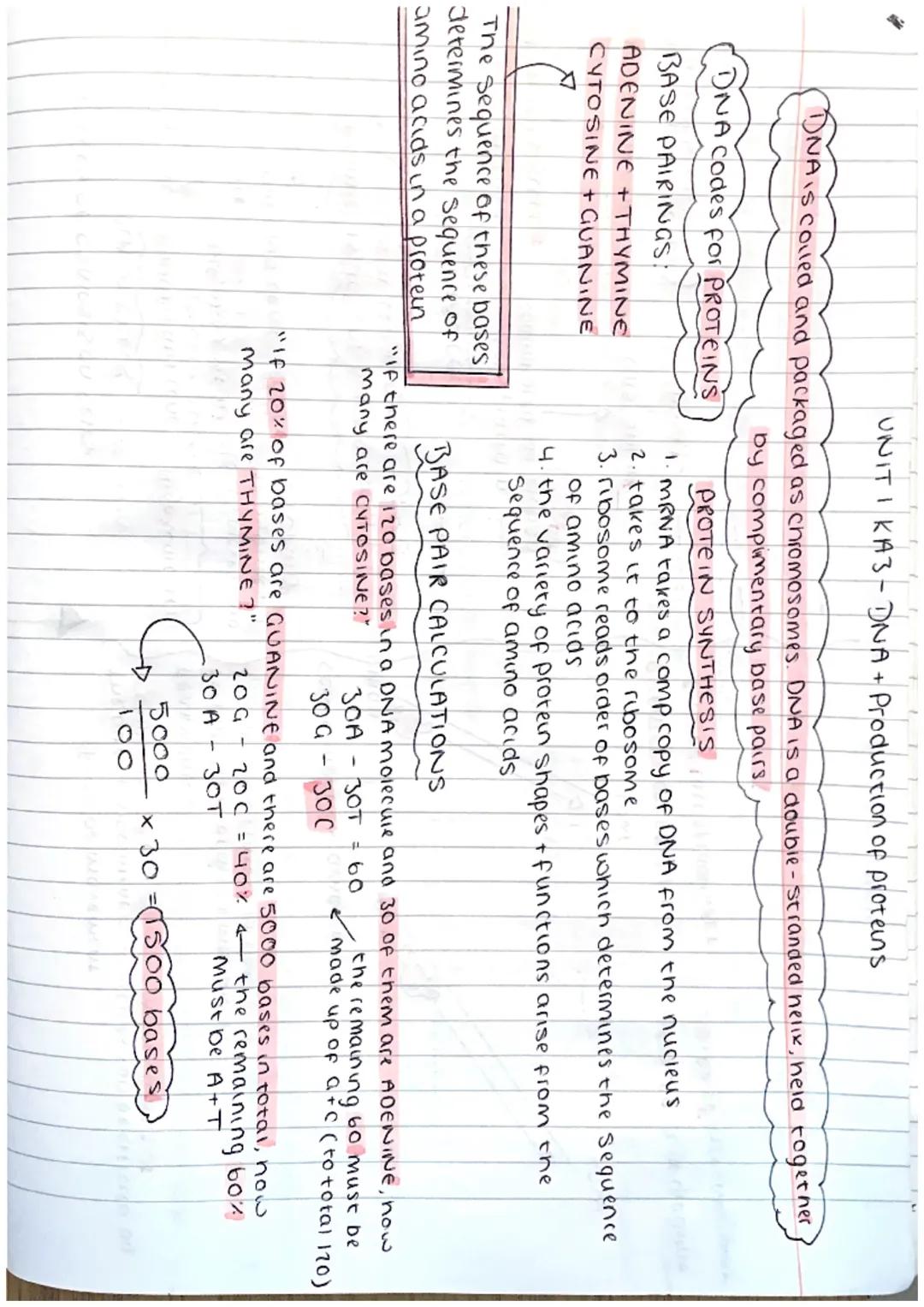 ΟΝΙΤΙ ΚΑI - Cell Structure

ANIMAL CELL
Cell
membrane
nucleus
ribosome
cytoplasm
Mitocondria

PLANT CELL cellmembrane
cell wall
nucleus
ribo