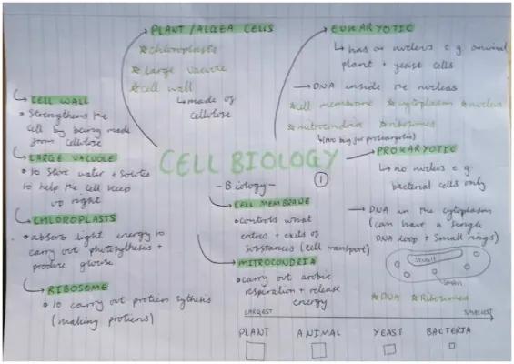 Know Biology P1 : cells thumbnail