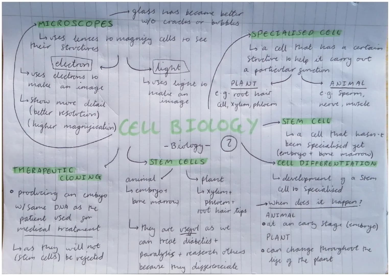 •PLANT /ALCEA CELLS
chloroplasts
* large vacote
cell wall
GEELL WALL
Strengthens the
all by being made
from cellulose
GLARGE VACUOLE
• to st