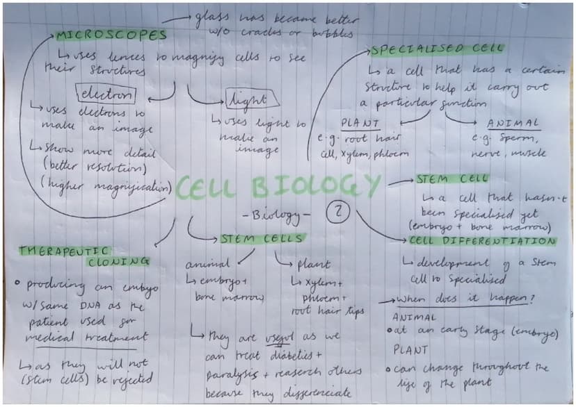 •PLANT /ALCEA CELLS
chloroplasts
* large vacote
cell wall
GEELL WALL
Strengthens the
all by being made
from cellulose
GLARGE VACUOLE
• to st