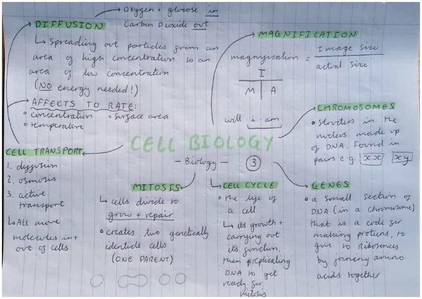 •PLANT /ALCEA CELLS
chloroplasts
* large vacote
cell wall
GEELL WALL
Strengthens the
all by being made
from cellulose
GLARGE VACUOLE
• to st