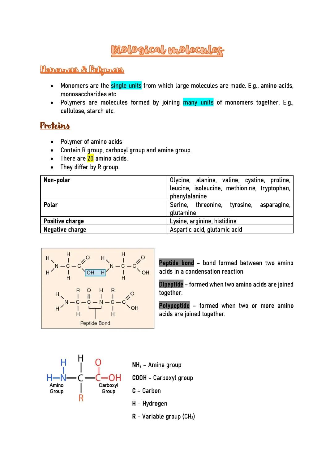 Biological Molecules 
