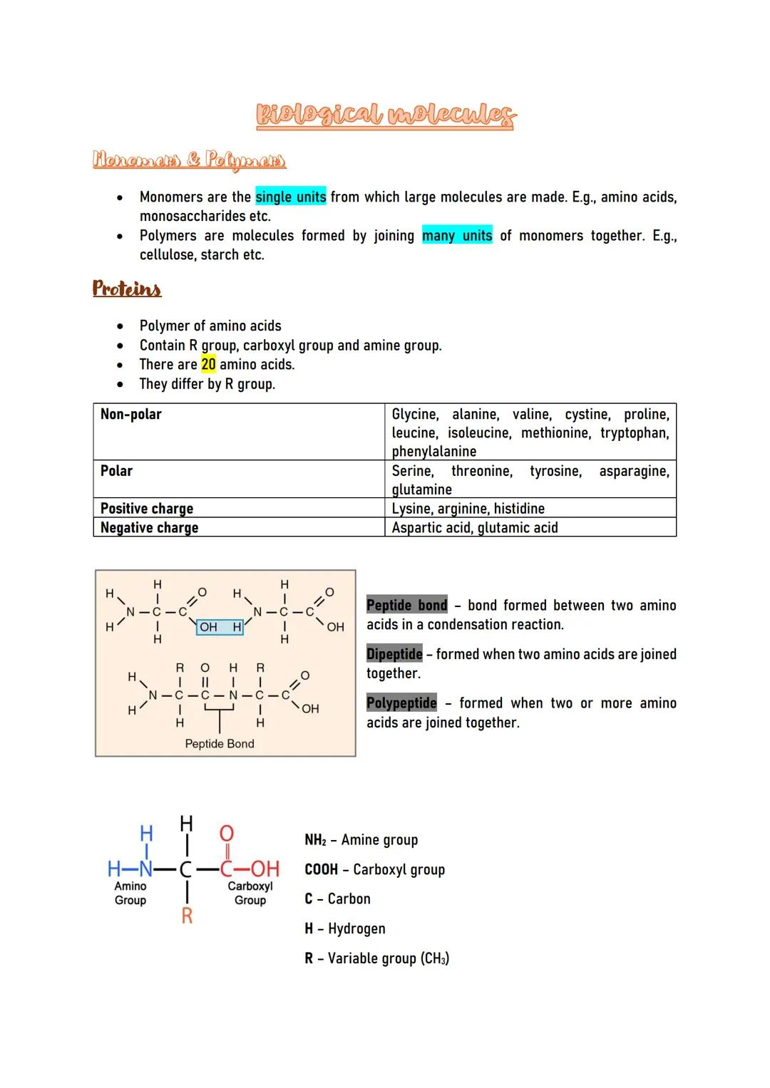 Biological molecules
Monomers & Polymers
Monomers are the single units from which large molecules are made. E.g., amino acids,
monosaccharid