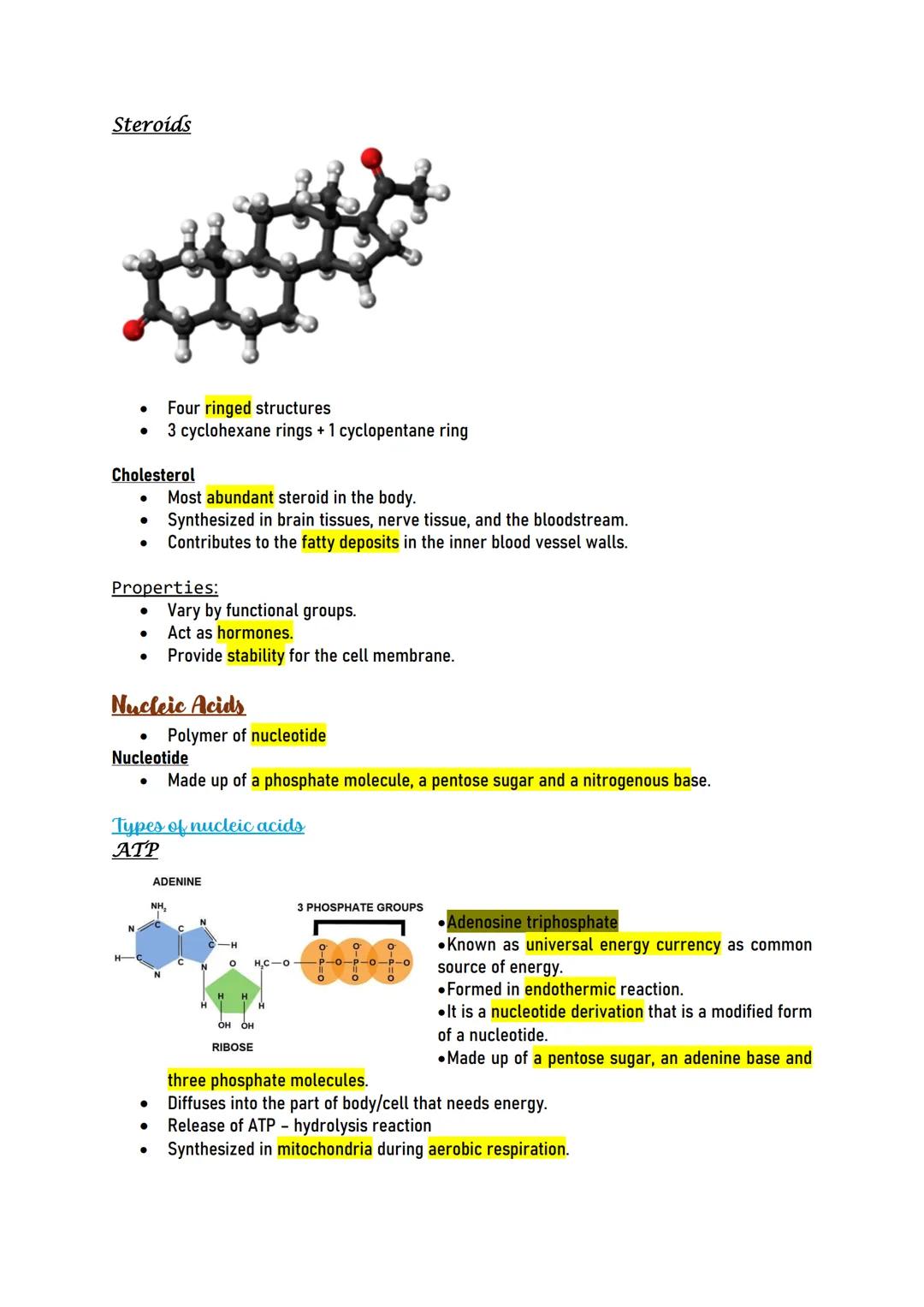 Biological molecules
Monomers & Polymers
Monomers are the single units from which large molecules are made. E.g., amino acids,
monosaccharid
