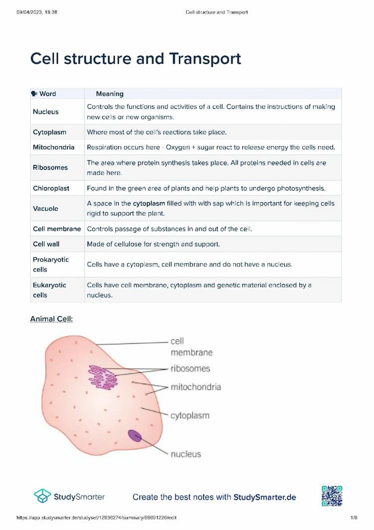 Know Cell Structure thumbnail