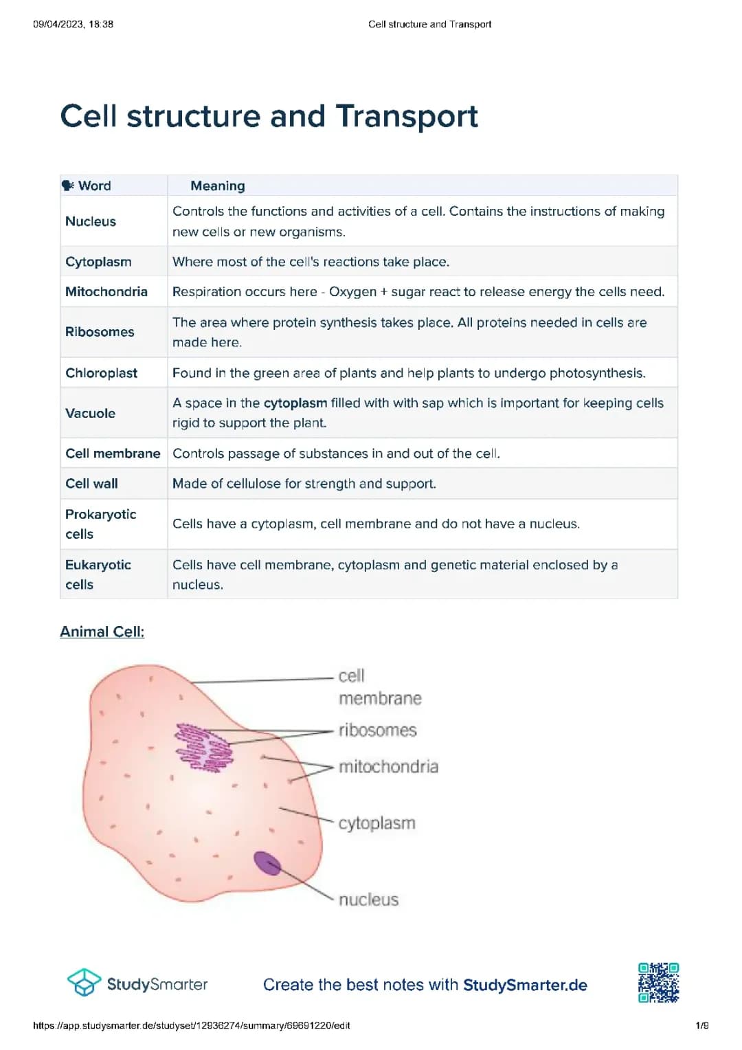 Animal and Plant Cell Structure for Kids - Diagrams, Functions, and Special Cells