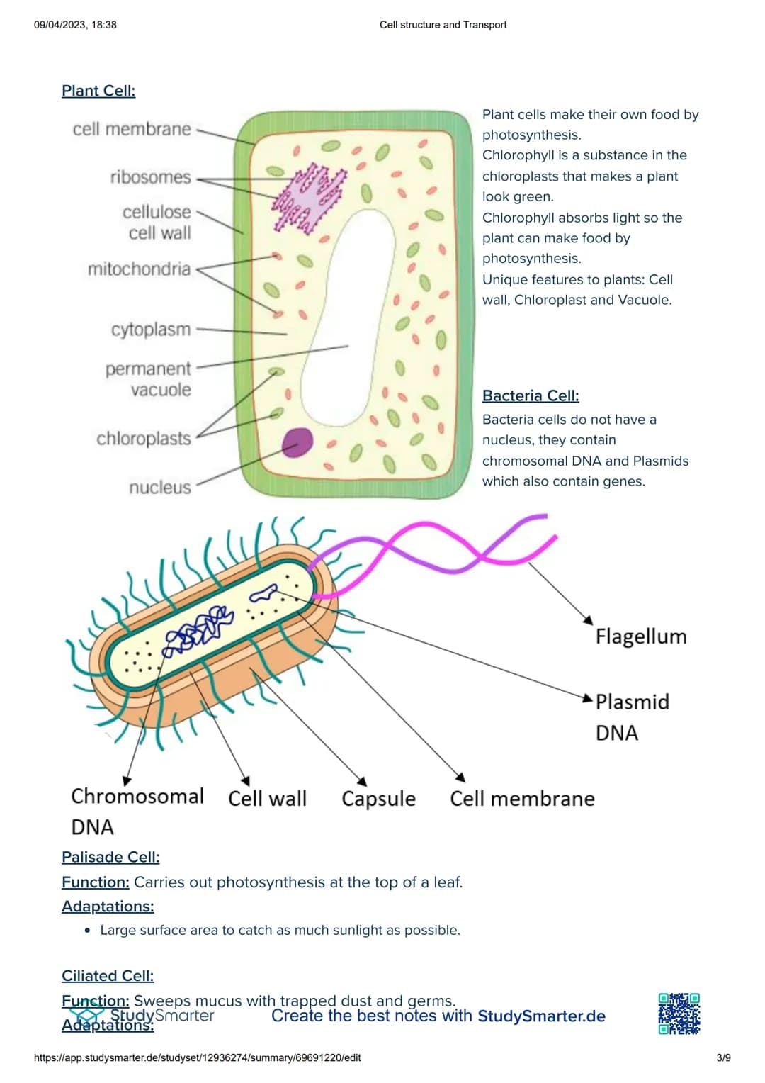 09/04/2023, 18:38
Cell structure and Transport
Word
Meaning
Controls the functions and activities of a cell. Contains the instructions of ma