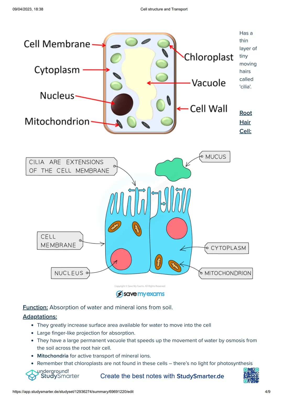 09/04/2023, 18:38
Cell structure and Transport
Word
Meaning
Controls the functions and activities of a cell. Contains the instructions of ma