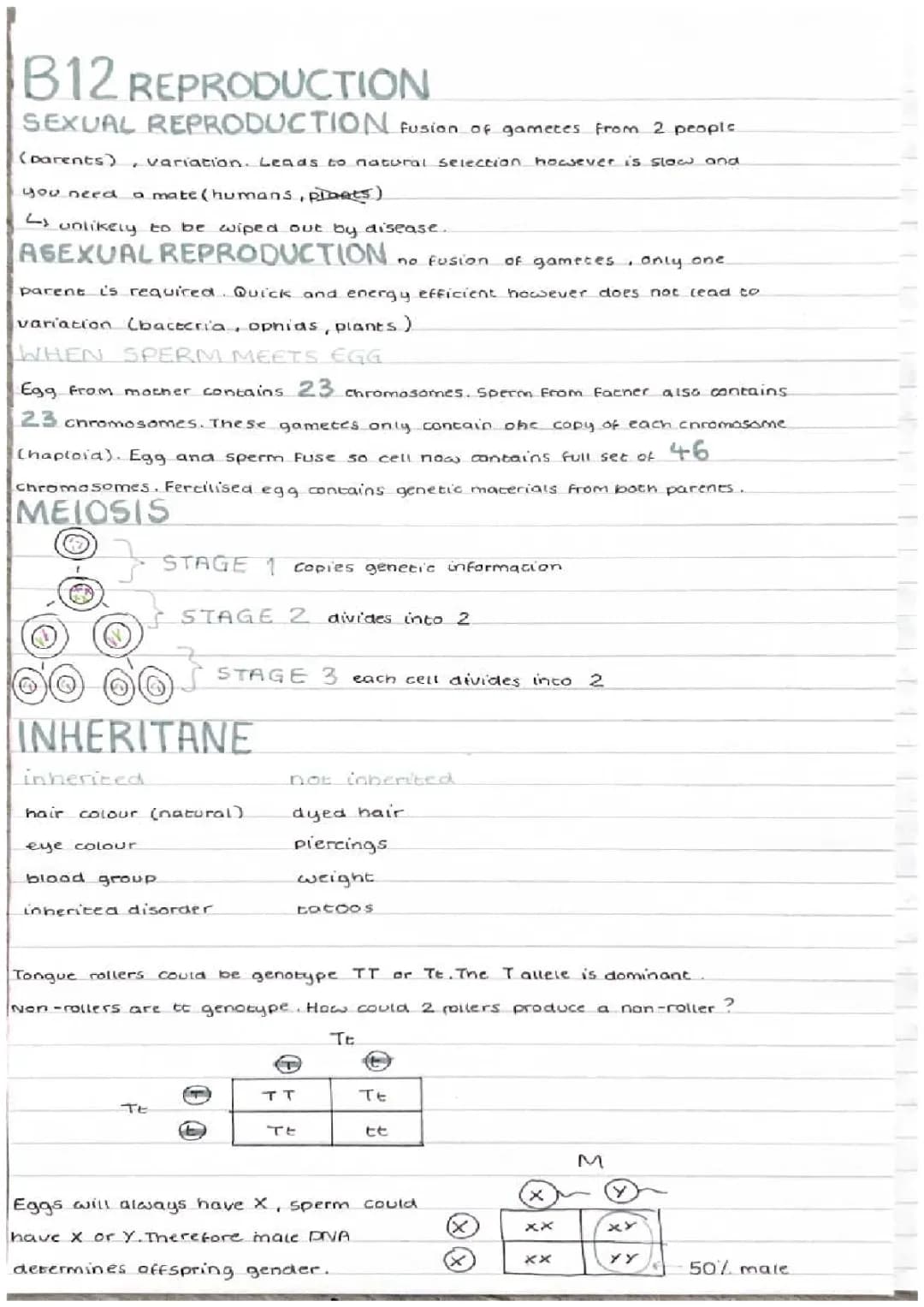 B12 reproduction 