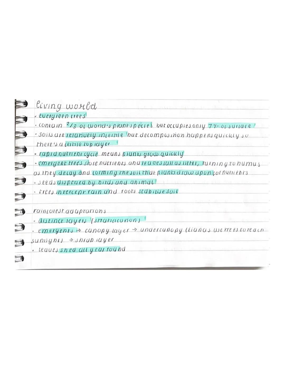 living world
evergreen trees
• contain 2/3 of world's plant species but occupies only 7% of suriace?
• soils are relatively internie but dec