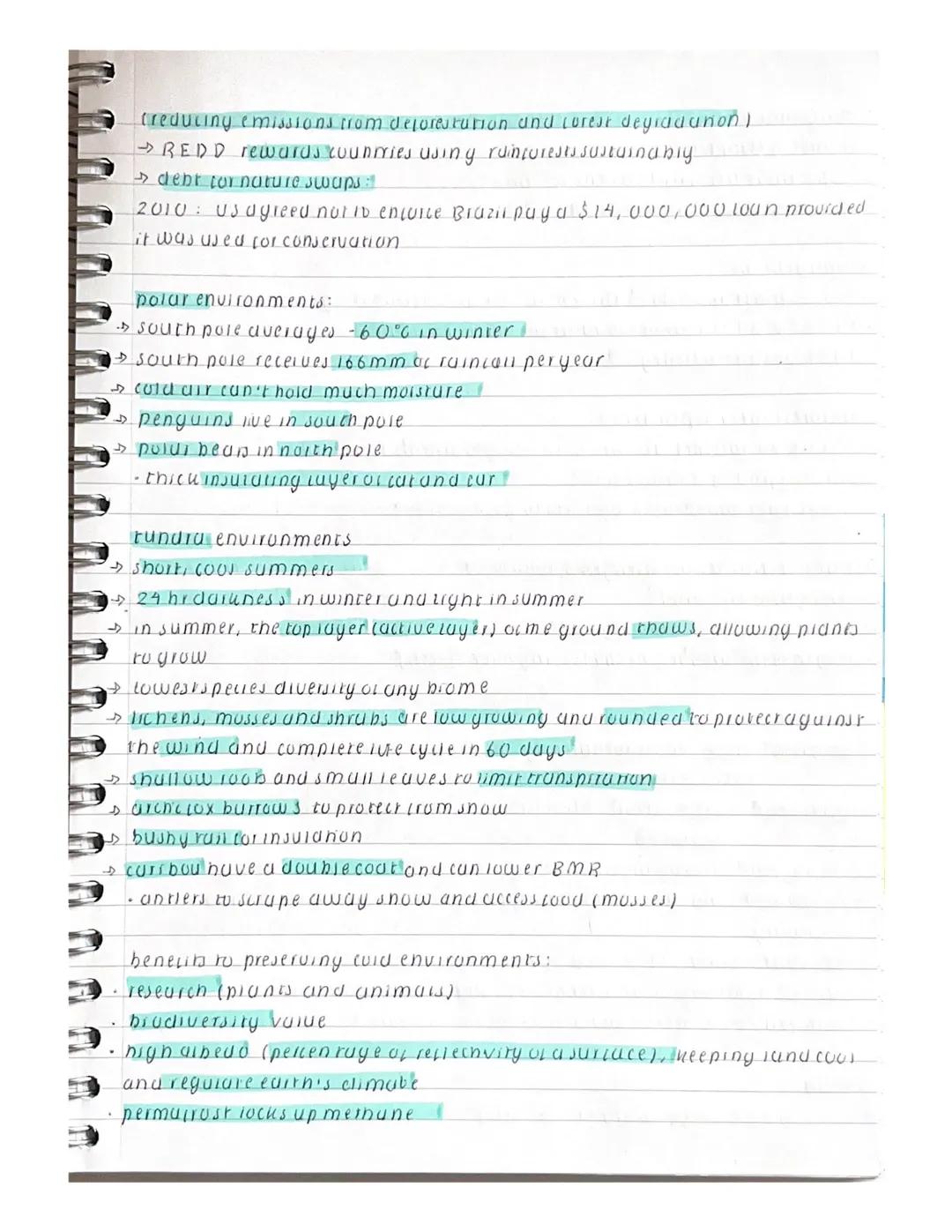 living world
evergreen trees
• contain 2/3 of world's plant species but occupies only 7% of suriace?
• soils are relatively internie but dec