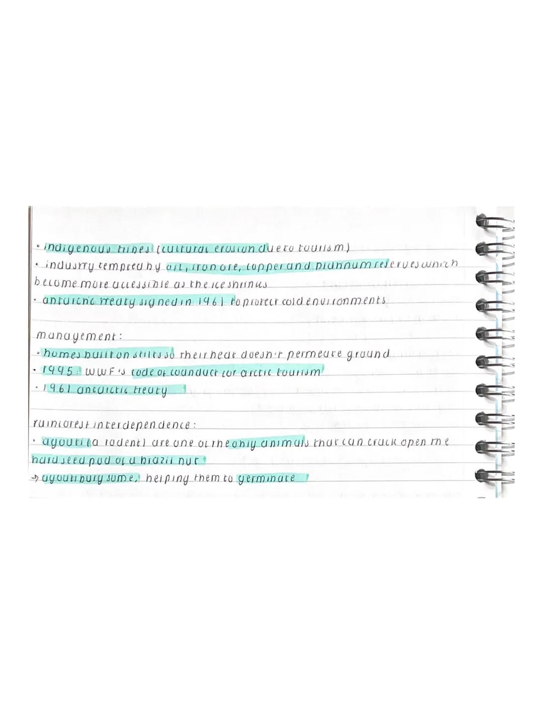 living world
evergreen trees
• contain 2/3 of world's plant species but occupies only 7% of suriace?
• soils are relatively internie but dec