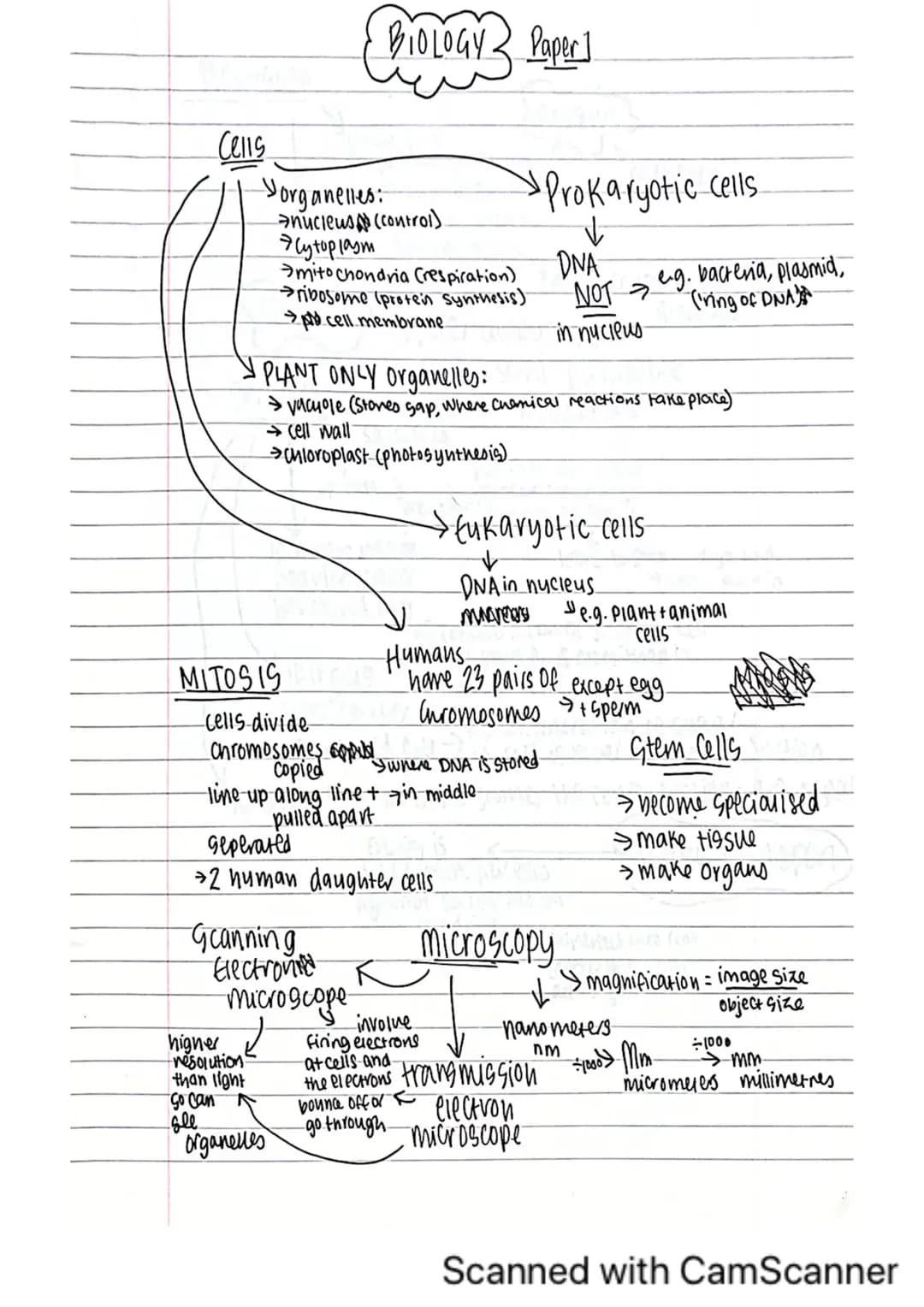 Free AQA GCSE Biology Revision Notes PDF: Mitosis, Photosynthesis & More