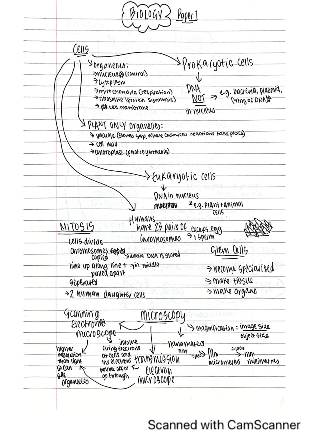 Cells
Yorganelles:
nucleus (control)
→lytoplasm
MITOSIS
BIOLOGY Paper]
higher
-resolution
mitochondria (respiration)
ribosome (protein synth