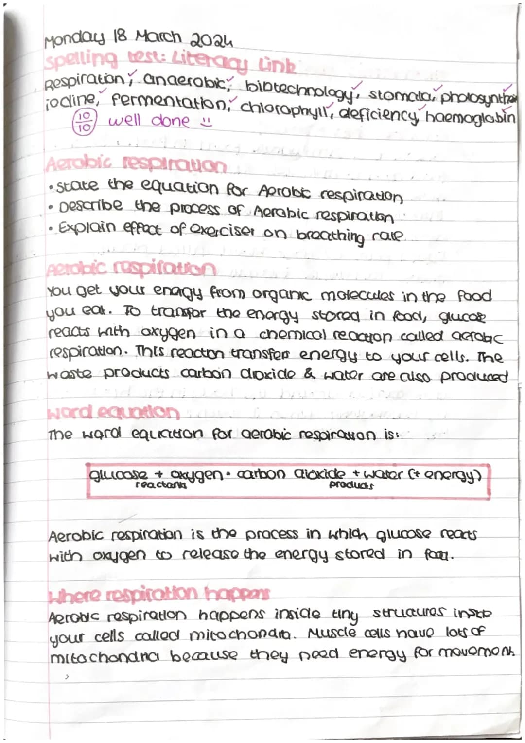 Aerobic and Anaerobic Respiration